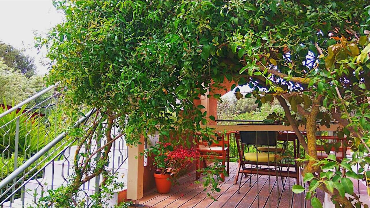 Kefalonia Apartments - Marias Studios - 2 Bedroom Apartment In Orchard, Spartia Exterior photo